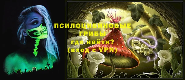 apvp Аркадак