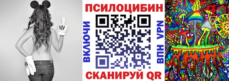 где можно купить наркотик Слюдянка Псилоцибиновые грибы ЛСД