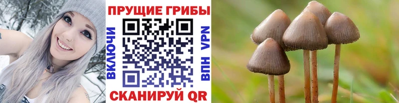 Псилоцибиновые грибы Magic Shrooms Слюдянка